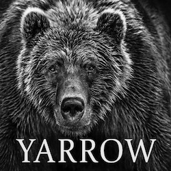 David Yarrow Photography